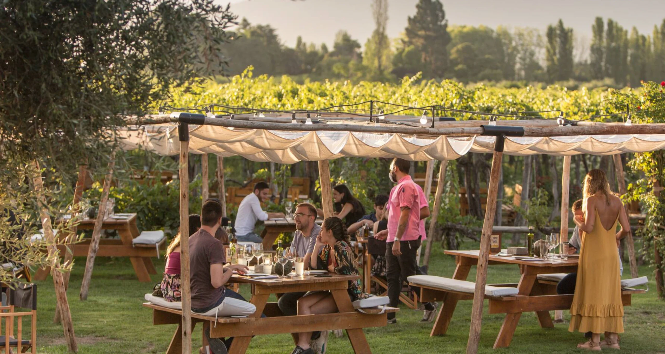 bodegakaikenramosgeneralesatardecermendoza2 Vendimia contacto mendoza tours