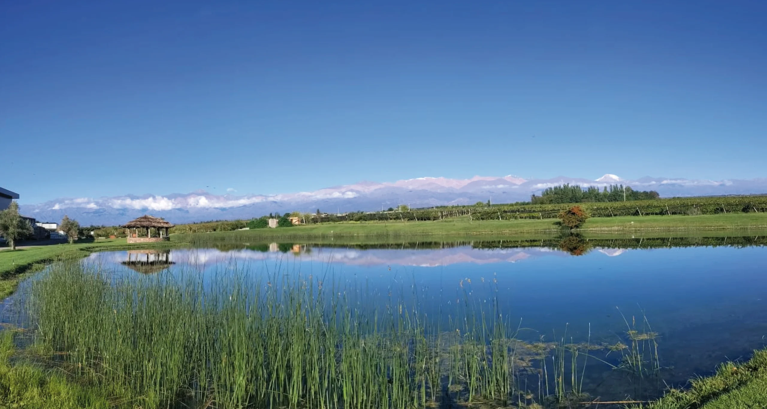 Bodegas Valle de Uco Mendoza Vendimia