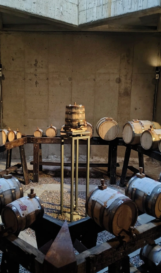 Bodegas Lujan Mendoza Vendimia
