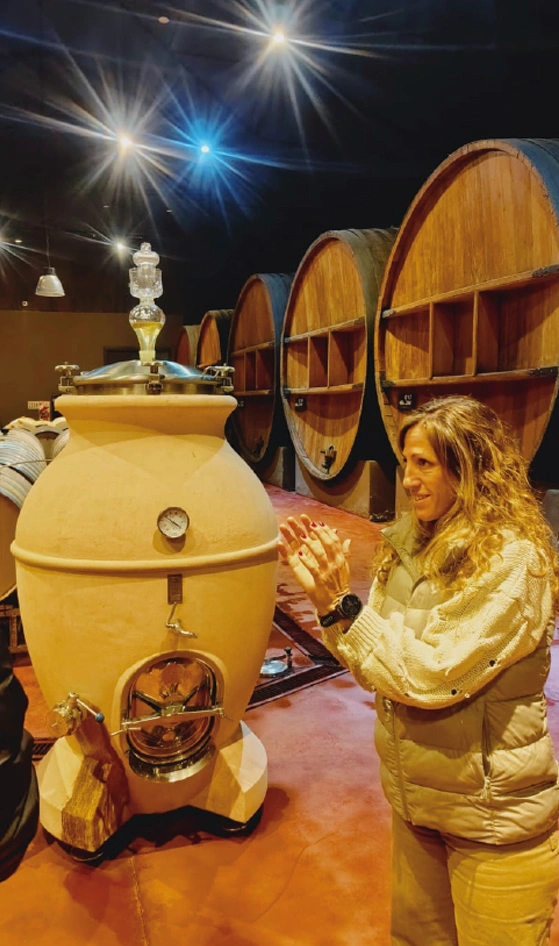 Bodegas Lujan Mendoza Vendimia