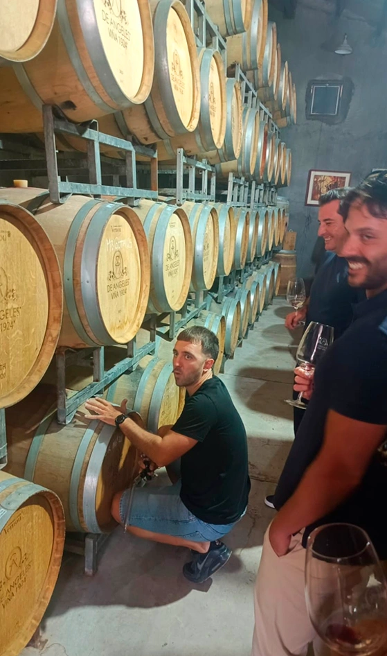 Bodegas Lujan Mendoza Vendimia