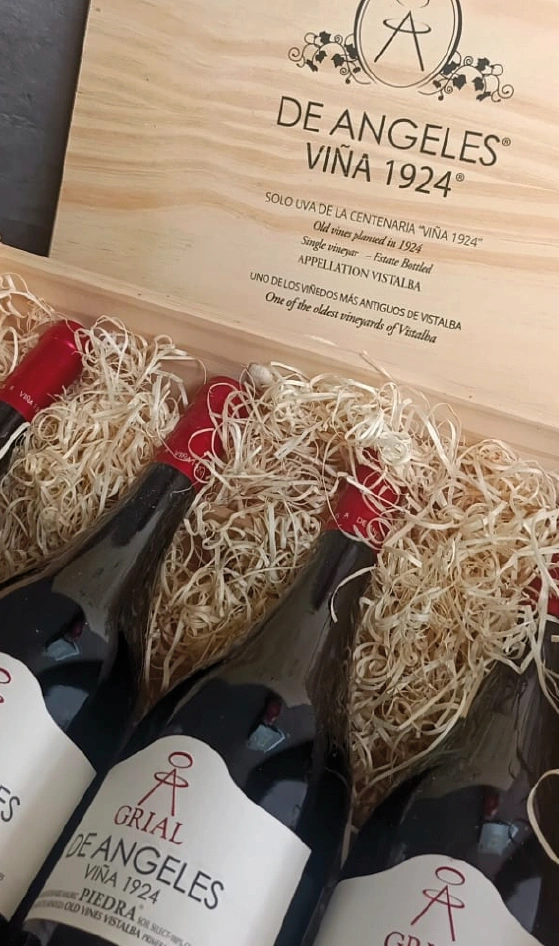 Bodegas Lujan Mendoza Vendimia