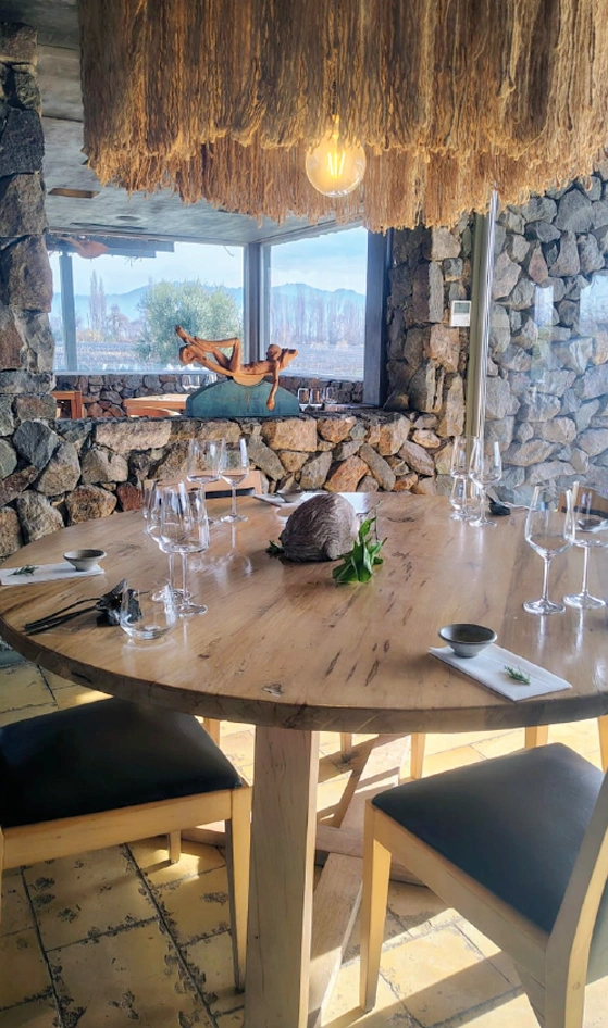 Bodegas Lujan Mendoza Vendimia