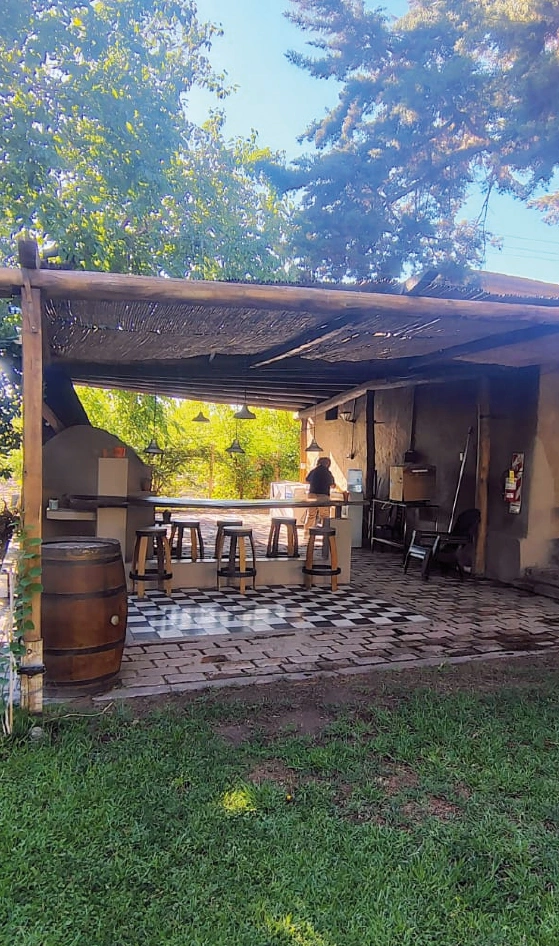 Bodegas Maipu Mendoza vendimia