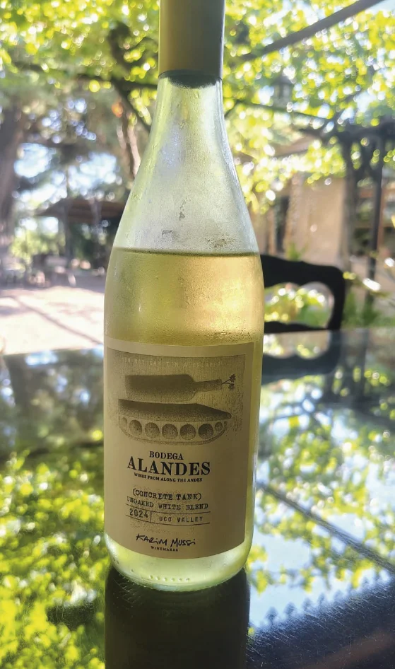 maipualandesvino Experiencia Maipu Vendimi Mendoza