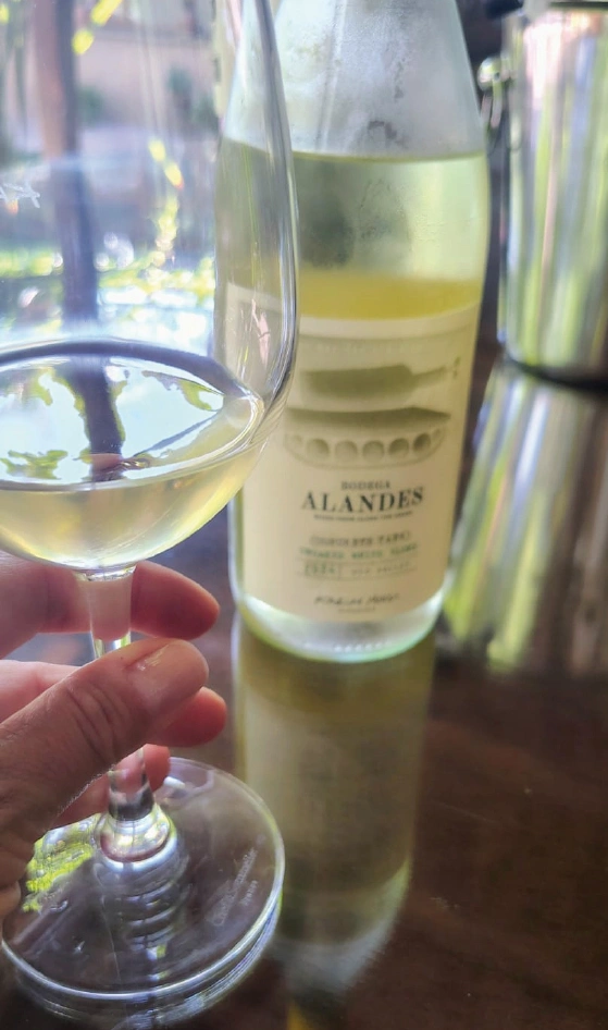 Bodegas Maipu Mendoza vendimia