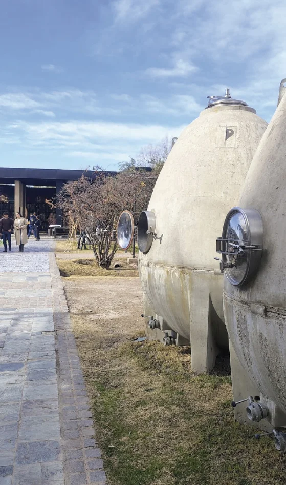 maipucasavigilhuevos Experiencia Maipu Mendoza Vendimia