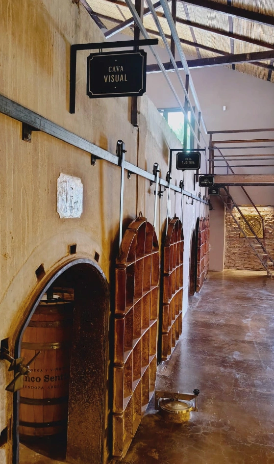 Bodegas Maipu Mendoza vendimia