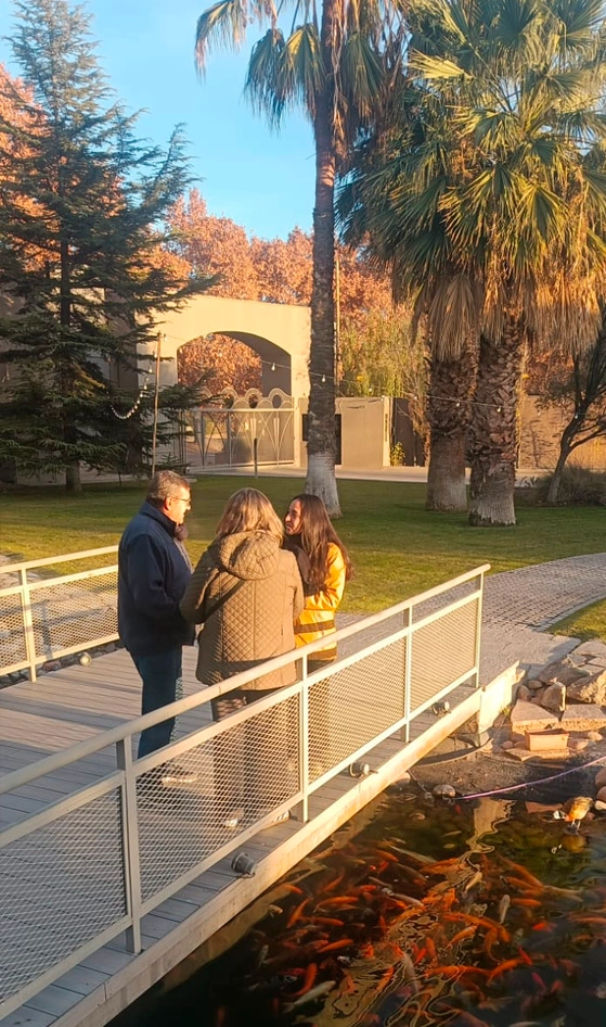 Bodegas Maipu Mendoza vendimia