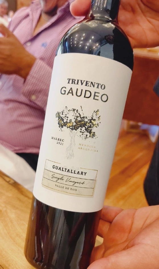 Bodegas Maipu Mendoza vendimia