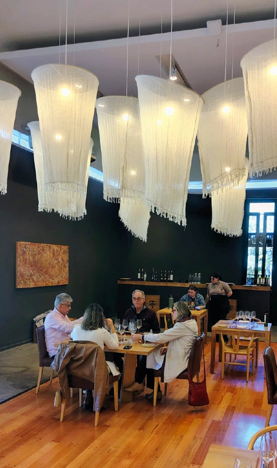 Bodegas Maipu Mendoza vendimia