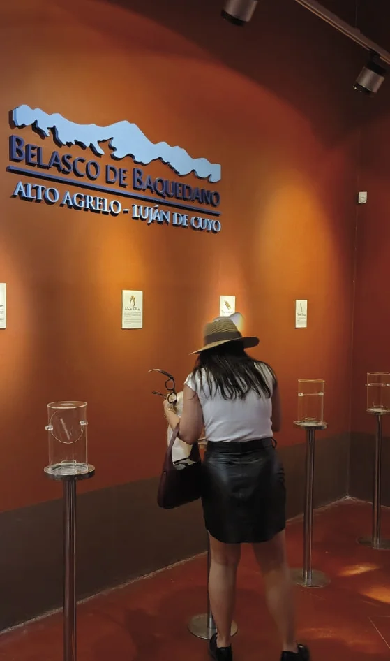 salaaromasbelascodebaquedano enologo por un dia vendimia mendoza