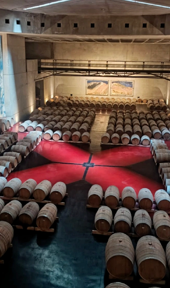 Bodegas Valle de Uco Mendoza Vendimia