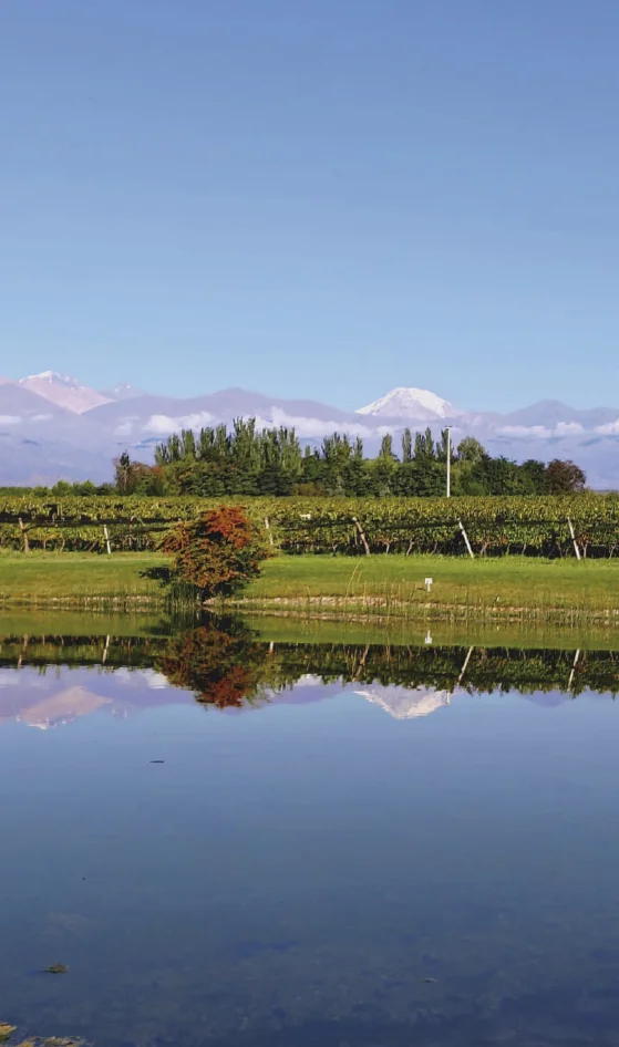 valledeucodomainebousquetpaisaje Experiencia Valle de Uco Mendoza vendmia