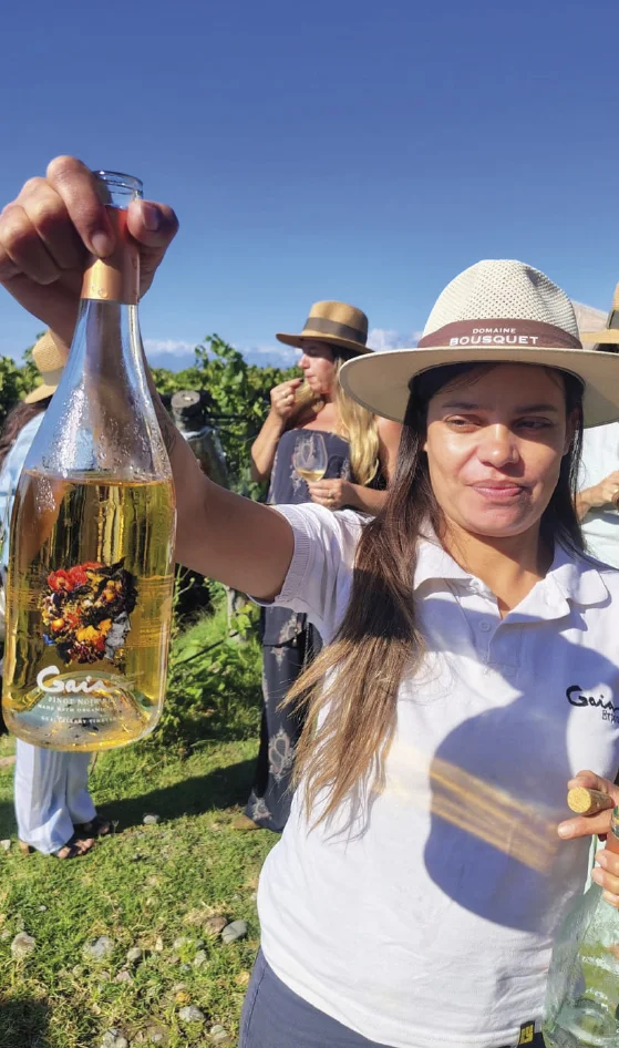 valledeucodomainebousquetvino Experiencia Valle de Uco Mendoza vendmia