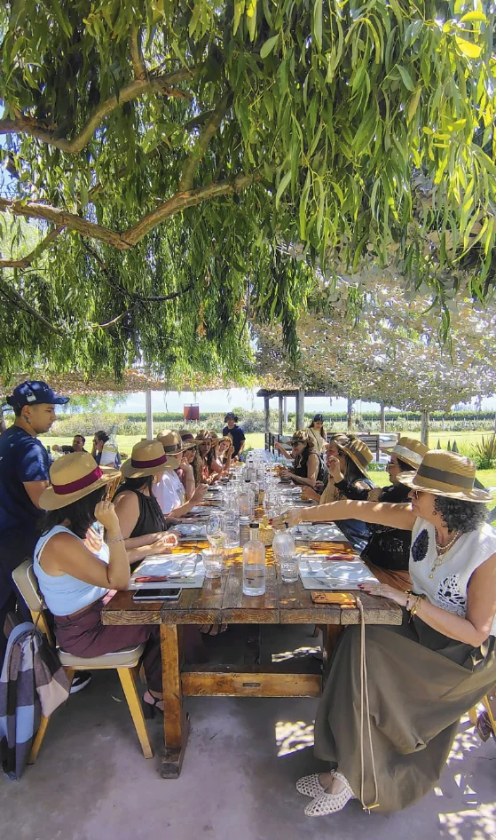 valledeucolaazulmesaalmuerzo Experiencia Valle de Uco Mendoza vendmia
