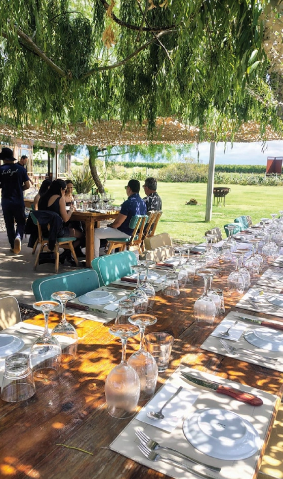 Bodegas Valle de Uco Mendoza Vendimia