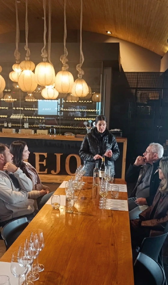 Bodegas Valle de Uco Mendoza Vendimia