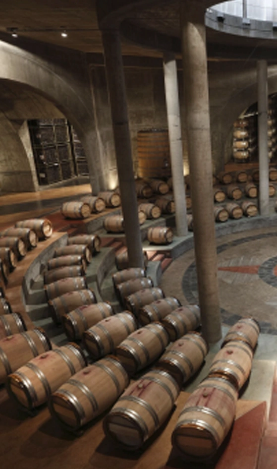 Bodegas Valle de Uco Mendoza Vendimia