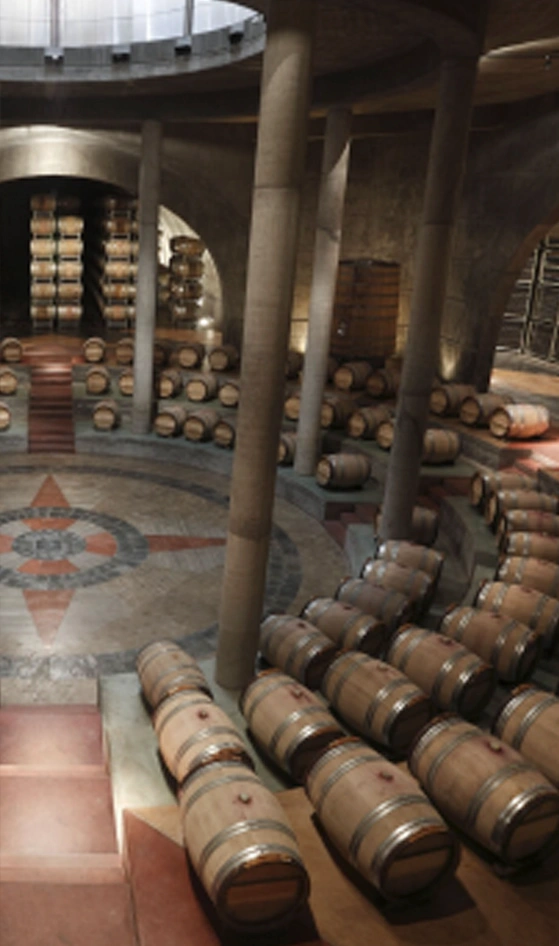 Bodegas Valle de Uco Mendoza Vendimia