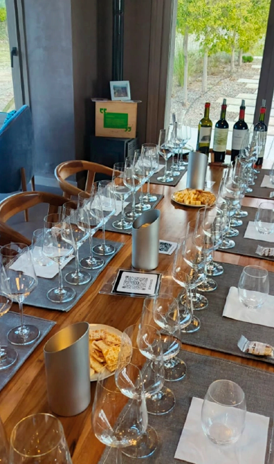 Bodegas Valle de Uco Mendoza Vendimia